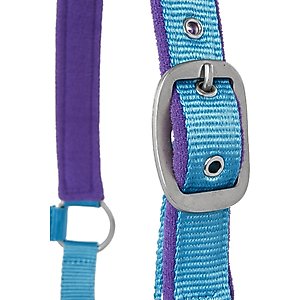 Tough-1 Nylon Padded Halter with Satin Horse Hardware, Turquoise, Horse