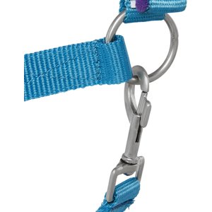 Tough-1 Nylon Padded Halter with Satin Horse Hardware, Turquoise, Horse