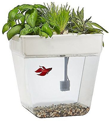 Discontinued - BACK TO THE ROOTS Water Garden Fish Tank, 3-gal - Chewy.com