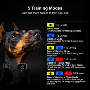 Petdiary 5 Training Mode Waterproof TFT Color Screen Dog Static Bark Collar, Black