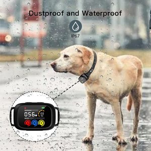 Petdiary 5 Training Mode Waterproof TFT Color Screen Dog Static Bark Collar, Black