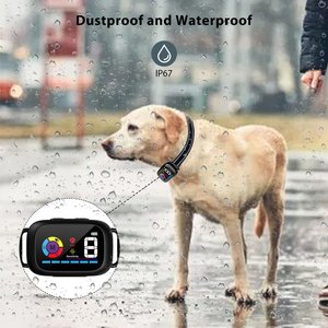 Petdiary 5 Training Mode Waterproof LCD Color Screen Dog Static Bark Collar, Black