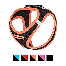 Best Pet Supplies Voyager Black Base Mesh Dog Harness