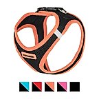 Orange Trim