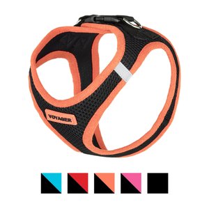 Best Pet Supplies Voyager Black Base Mesh Dog Harness, Orange Trim, Large