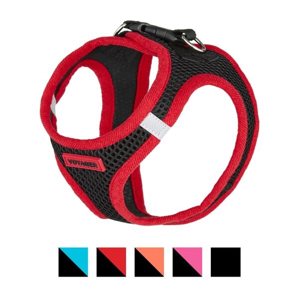 Best Pet Supplies Voyager Black Base Mesh Dog Harness, Red Trim, Small slide 1 of 10