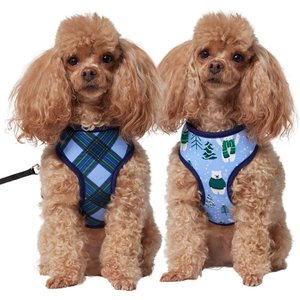 Frisco Reversible Holiday Polar Bears Dog Harness (Patent Pending), Blue, X-Small