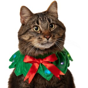 Frisco Light Up Holiday Wreath Dog & Cat Collar, X-Small/Small