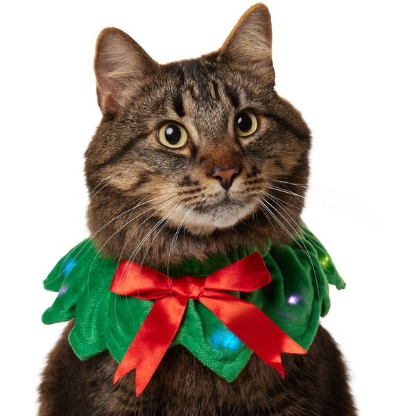 Frisco Light Up Christmas Wreath Dog & Cat Collar
