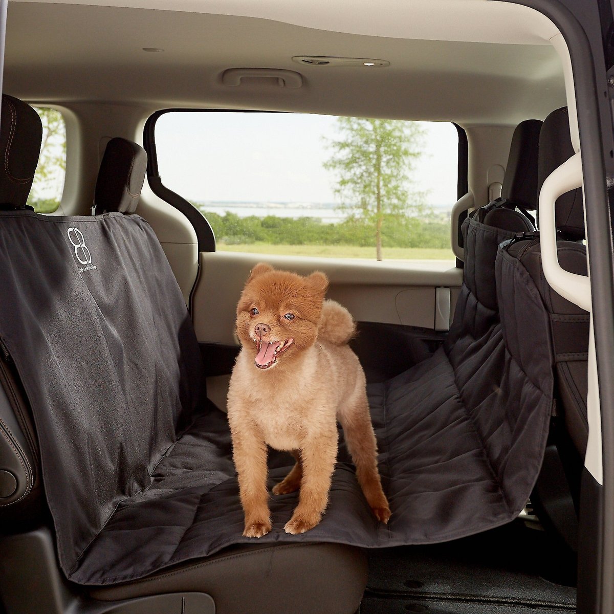 Chewy store car hammock