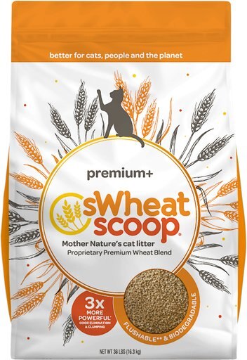 sWheat Scoop Premium+ Unscented Natural Clumping Wheat Cat Litter, 36-lb bag