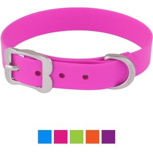 Red Dingo Vivid PVC Dog Collar, Hot Pink, XX-Small: 8 to 10-in neck, 1/2-in wide