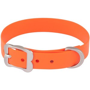 Red Dingo Vivid PVC Dog Collar, Orange, XX-Small: 8 to 10-in neck, 1/2-in wide