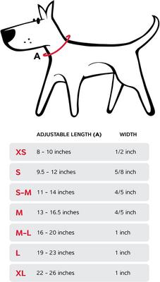 Show full view: Red Dingo Vivid PVC Dog Collar, Purple, XX-Small: 8 to 10-in neck, 1/2-in wide slide 6 of 8