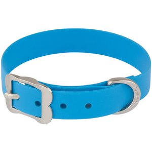 Red Dingo Vivid PVC Dog Collar, Blue, Small: 11 to 14-in neck, 4/5-in wide