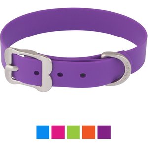 Red Dingo Vivid PVC Dog Collar, Purple, Small: 11 to 14-in neck, 4/5-in wide
