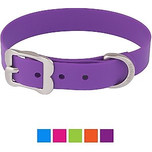 Red Dingo Vivid PVC Dog Collar, Purple, Medium: 13 to 16.5-in neck, 4/5-in wide