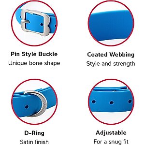 Red Dingo Vivid PVC Dog Collar, Hot Pink, Large: 16 to 20-in neck, 1-in wide