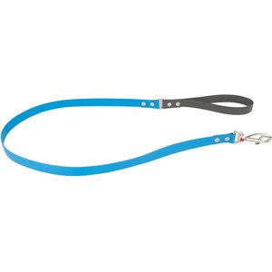 Red Dingo Vivid PVC Dog Leash, Blue, X-Small: 4-ft long, 1/2-in wide