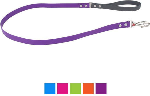 Red Dingo Vivid PVC Dog Leash, Purple, X-Small: 4-ft long, 1/2-in wide slide 1 of 3