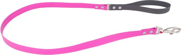Red Dingo Vivid PVC Dog Leash, Hot Pink, Medium: 4-ft long, 4/5-in wide slide 1 of 3