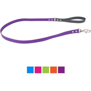 Red Dingo Vivid PVC Dog Leash, Purple, Medium: 4-ft long, 4/5-in wide