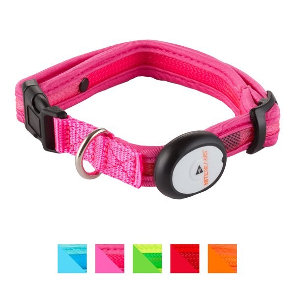 NITE BEAMS LED Pet Collar, Pink, Medium