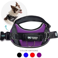 Chewy ruffwear best sale