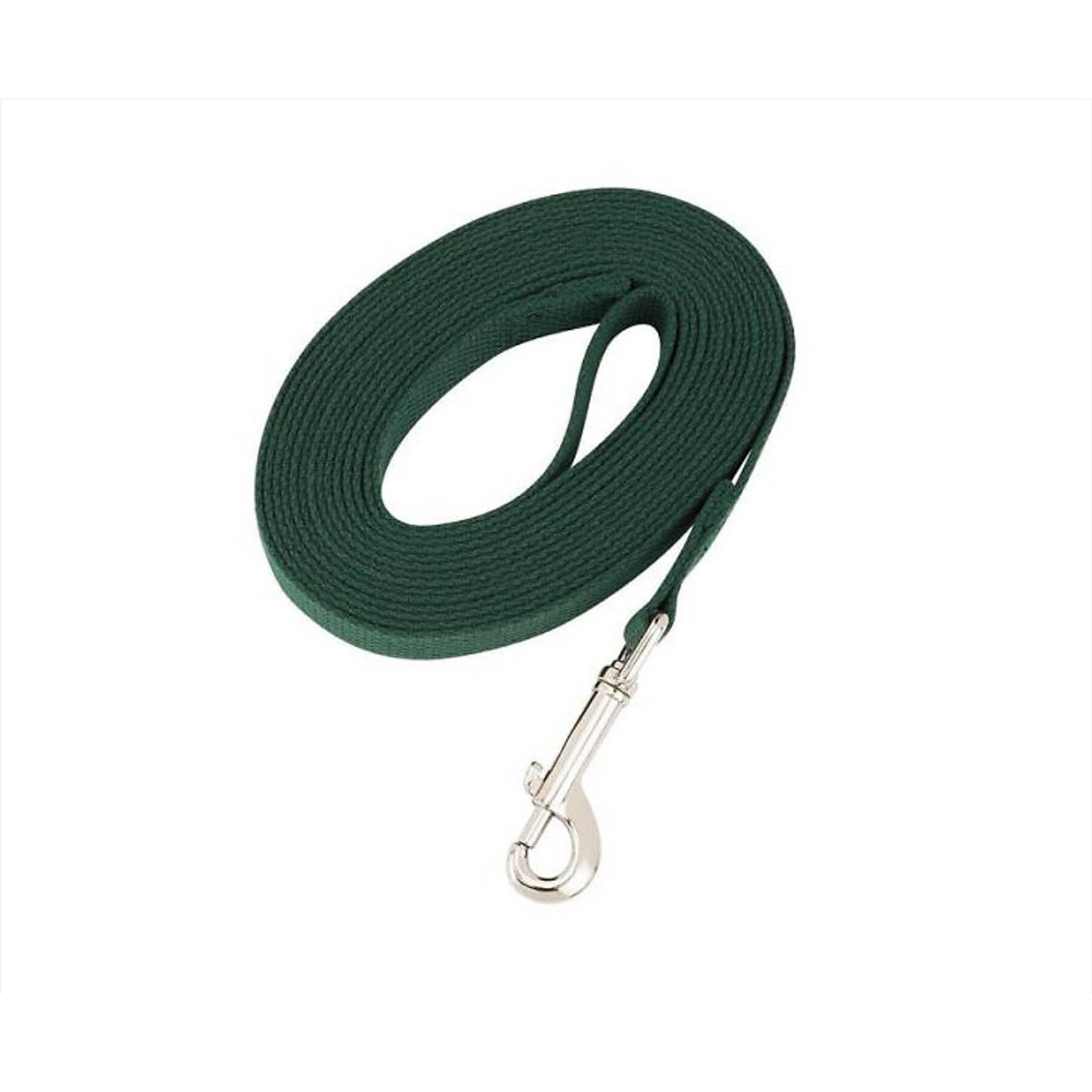 Cotton web leash best sale