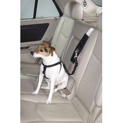 Dog Seat Belts Page 2 Free Shipping Chewy