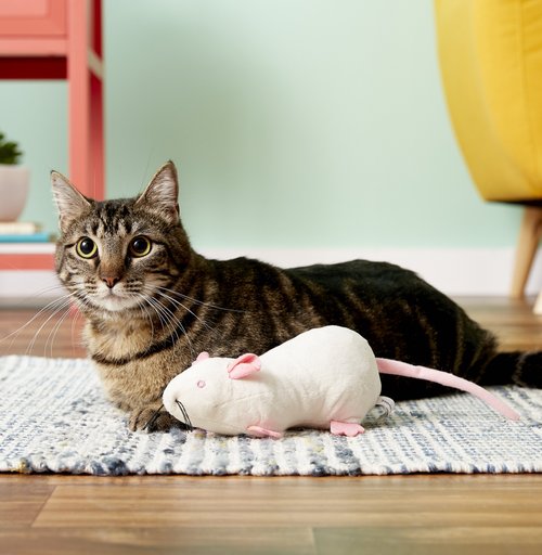 SmartyKat Rat Pack Kicker Cat Toy, Color Varies