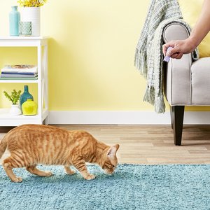 SmartyKat Feline Flash Laser Pointer Cat Toy