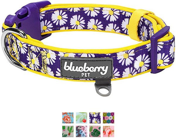 Blueberry Pet Floral Prints Polyester Dog Collar, Daisy, Small: 12 to 16-in neck, 5/8-in wide slide 1 of 6