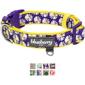 Blueberry Pet Floral Prints Polyester Dog Collar, Daisy, Small: 12 to 16-in neck, 5/8-in wide