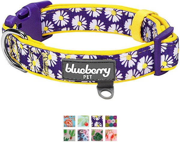 Blueberry Pet Floral Prints Polyester Dog Collar, Daisy, Medium: 14.5 to 20-in neck, 3/4-in wide slide 1 of 6