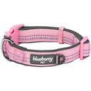 Blueberry Pet 3M Spring Pastel Polyester Reflective Dog Collar, Baby Pink, Small: 12 to 16-in neck, 5/8-in wide