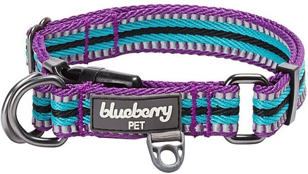Blueberry Pet 3M Multi-Colored Stripe Polyester Reflective Dog Collar, Violet & Celeste, Small: 12 to 16-in neck, 5/8-in wide slide 1 of 7