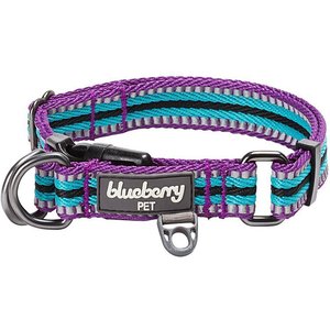 Blueberry Pet 3M Multi-Colored Stripe Polyester Reflective Dog Collar, Violet & Celeste, Small: 12 to 16-in neck, 5/8-in wide