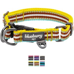 Blueberry Pet 3M Multi-Colored Stripe Polyester Reflective Dog Collar, Yellow & Brown, Small: 12 to 16-in neck, 5/8-in wide