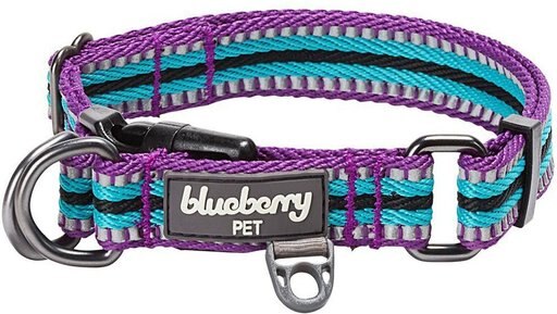 Blueberry Pet 3M Multi-Colored Stripe Polyester Reflective Dog Collar, Violet & Celeste, Medium: 14.5 to 20-in neck, 3/4-in wide