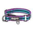 Blueberry Pet 3M Multi-Colored Stripe Polyester Reflective Dog Collar, Violet & Celeste, Medium: 14.5 to 20-in neck, 3/4-in wide