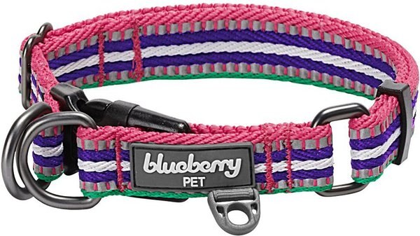 Blueberry Pet 3M Multi-Colored Stripe Polyester Reflective Dog Collar, Bright Pink & Orchid, Medium: 14.5 to 20-in neck, 3/4-in wide slide 1 of 7