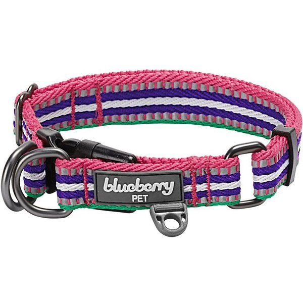 Blueberry Pet 3M Multi-Colored Stripe Polyester Reflective Dog Collar