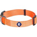 Blueberry Pet Classic Solid Nylon Dog Collar, Florence Orange, X-Small: 8 to 11-in neck, 3/8-in wide