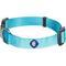 Show in main carousel: Blueberry Pet Classic Solid Nylon Dog Collar, Turquoise, Small: 12 to 16-in neck, 5/8-in wide slide 1 of 7