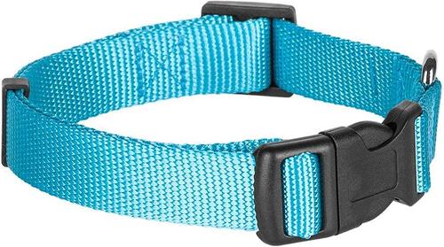 Show full view: Blueberry Pet Classic Solid Nylon Dog Collar, Turquoise, Small: 12 to 16-in neck, 5/8-in wide slide 3 of 7