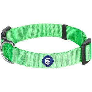 Blueberry Pet Classic Solid Nylon Dog Collar, Neon Green, Small: 12 to 16-in neck, 5/8-in wide