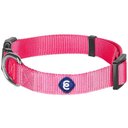 Blueberry Pet Classic Solid Nylon Dog Collar, French Pink, Medium: 14.5 to 20-in neck, 3/4-in wide