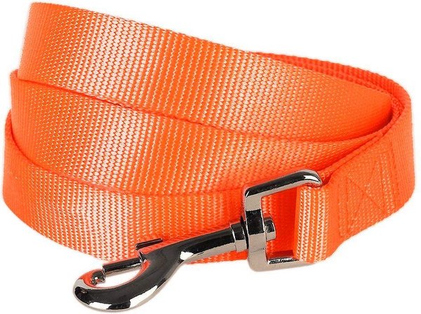 Blueberry Pet Classic Solid Nylon Dog Leash, Florence Orange, X-Small: 5-ft long, 3/8-in wide slide 1 of 5