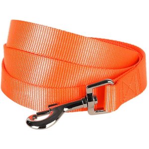 Blueberry Pet Classic Solid Nylon Dog Leash, Florence Orange, Small: 5-ft long, 5/8-in wide